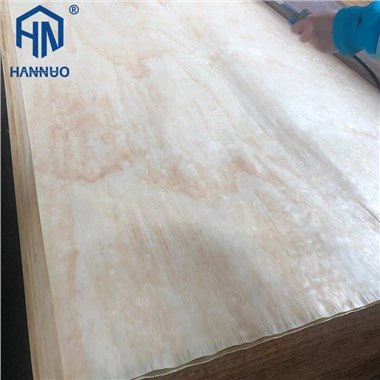 Veneer Kayu Brich